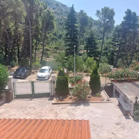 Sandra 1 * Zaostrog