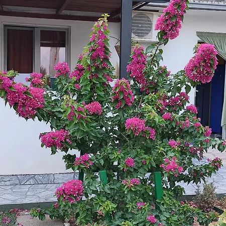 Apartamento Sandra 1 *