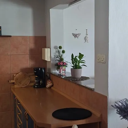 Apartment Sandra 1 Zaostrog